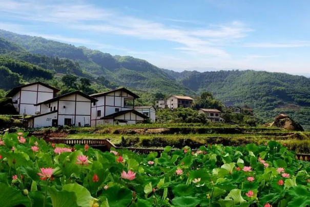 1678666894756800.png image.png